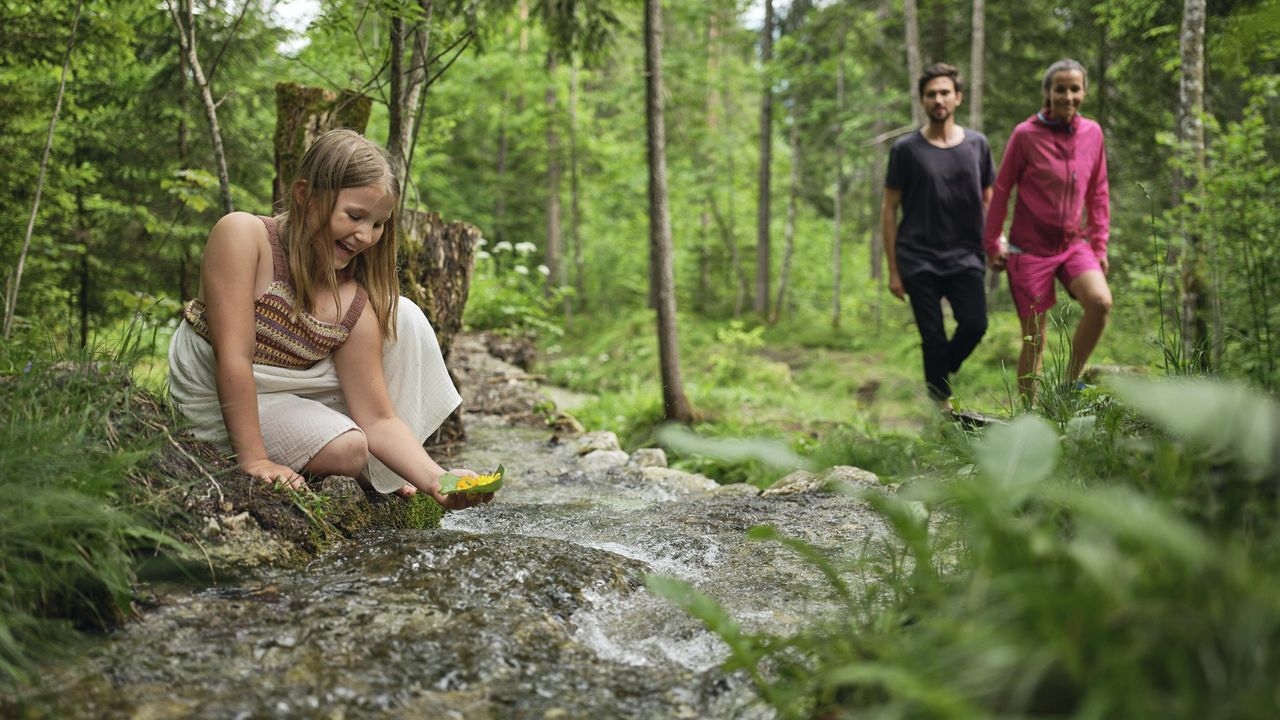 Familienleben n der Natur Familienleben n der Natur